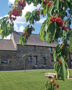 Gîtes à la ferme entouré de nature